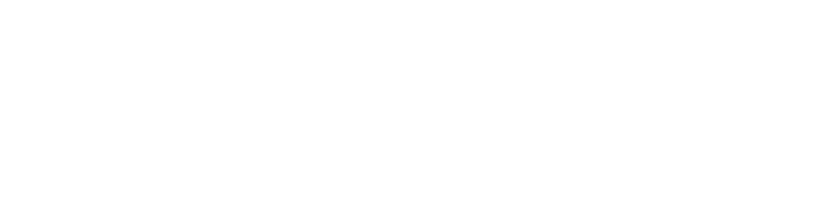 VOKS Technologies